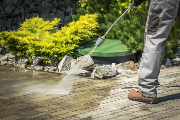 Best House Exterior Washing  in Wahoo, NE