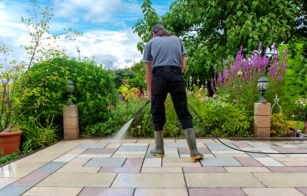 Best Patio and Deck Pressure Washing  in Wahoo, NE